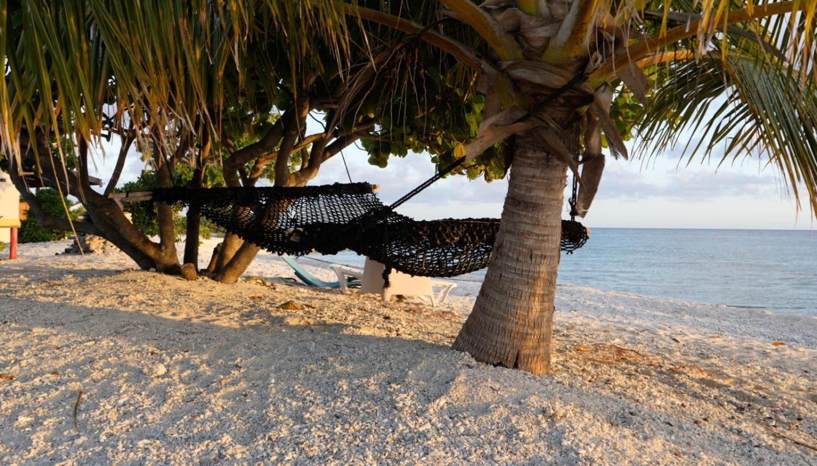 Rangiroa Bliss Tiputa Exterior foto